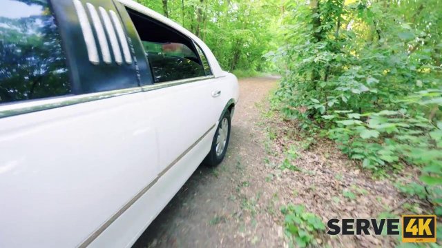 Превью Подвез незнакомку и трахнул в машине за проезд № 42840